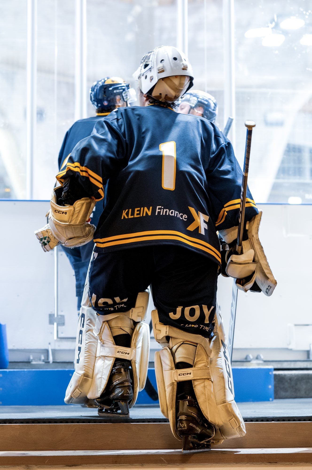 Les Ours de Villard-de-Lans, photo Prism Motion