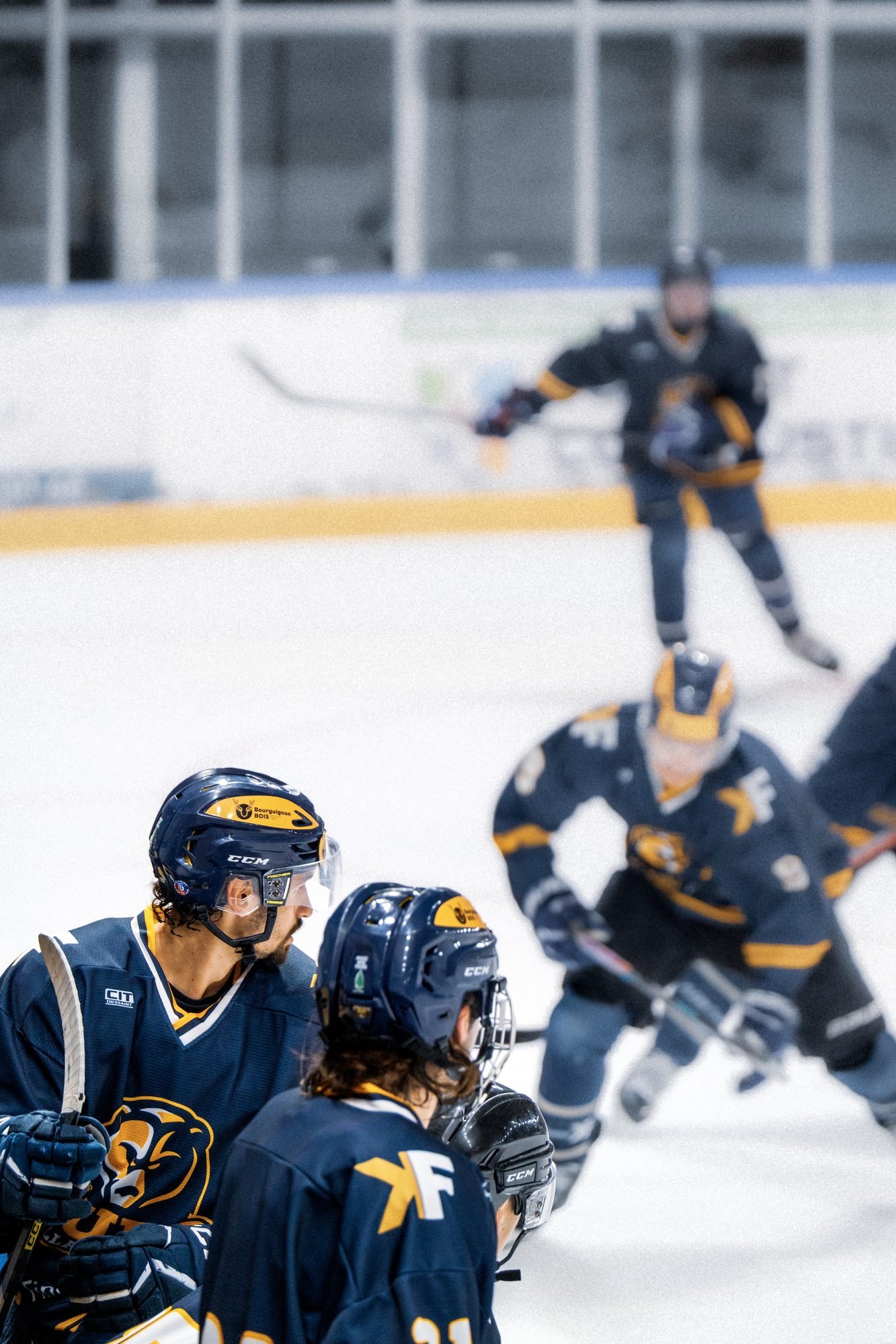 Les Ours de Villard-de-Lans, photo Prism Motion