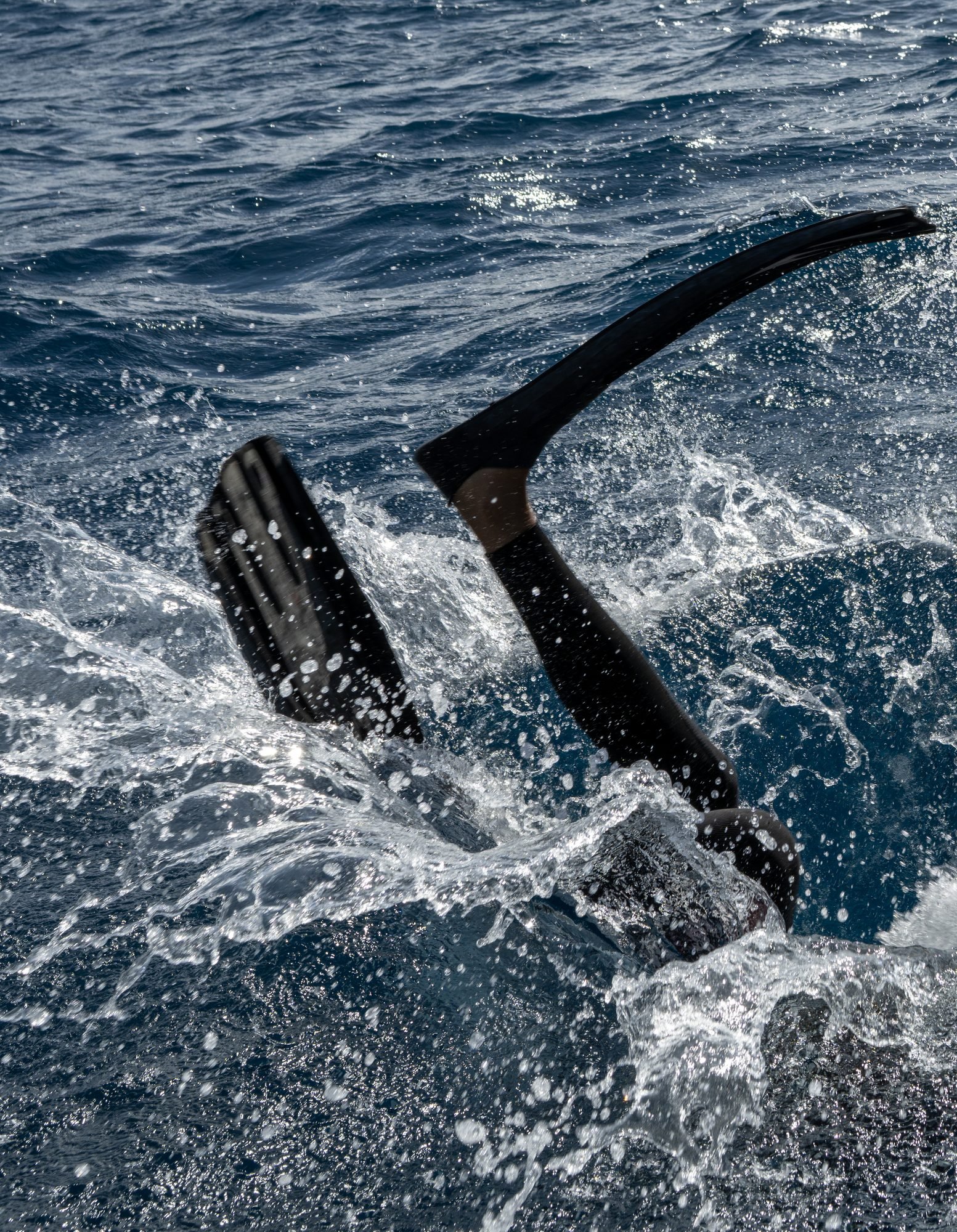 Sous la surface, photo Prism Motion